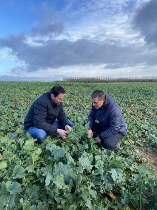 Beauquesne, l'entreprise de négoce agricole Charpentier prône le biocontrôle pour supprimer le phytosanitaire