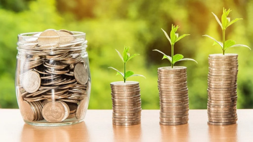 Raon-l’Étape : le budget participatif de 2022 s’élève à 30 000 euros