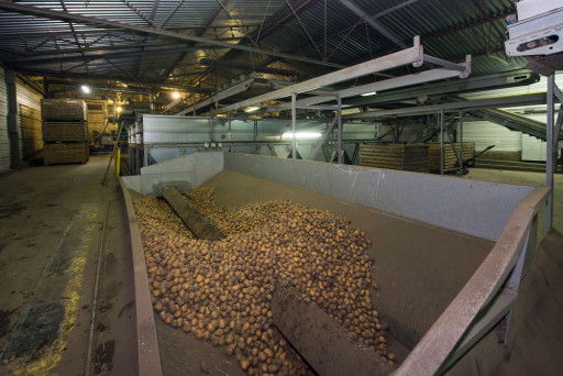 Hauts-de-France : appel à projets pour la rénovation énergétique des bâtiments de stockage de pommes de terre