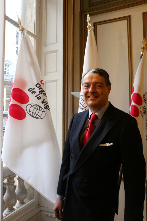 « La richesse et la diversité du monde viticole à l’échelle mondiale lui assure une grande capacité d’adaptabilité, de…