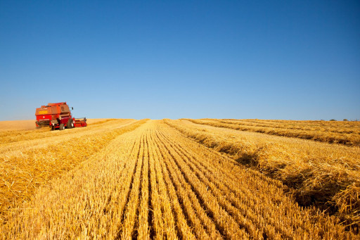 La FNSEA avance ses propositions pour une agriculture viable