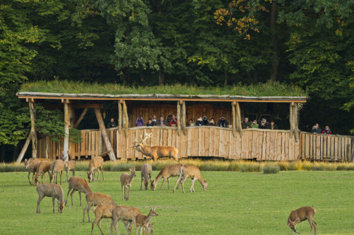 Le parc animalier de Sainte-Croix recrute ses saisonniers pour 2022