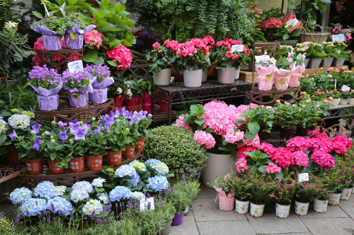 "Plantes pour tous" a organisé une "Grande Vente de Plantes" à Besançon