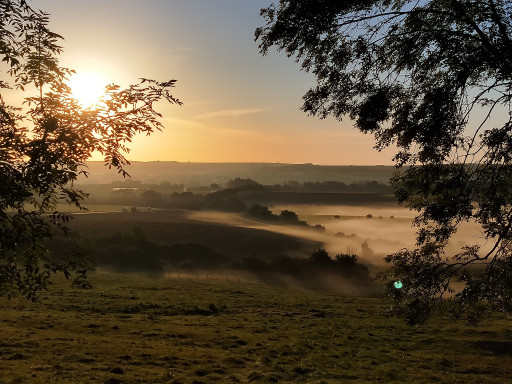 Les Territoires engagés pour la nature essaiment en Moselle