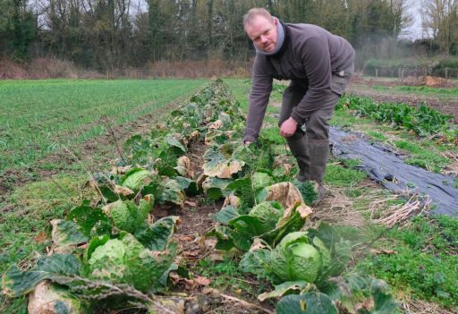 Terre de Liens et la ville de Longueau soutiennent l'agriculture bio