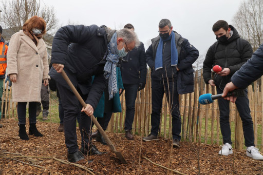 Une mini-forêt aux Rives de Meurthe à Nancy