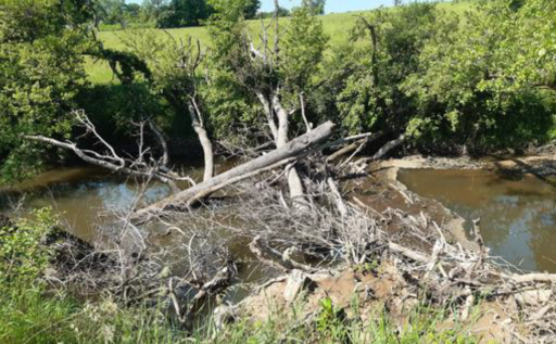 La CCVCSO au chevet de la Saône