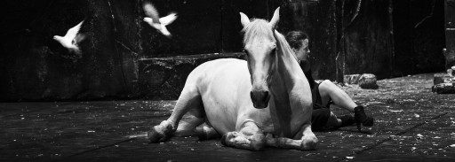 «Falaise» à Maubeuge et Roubaix
