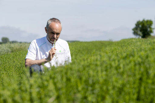 Délice & Sens, artisan de l’aromatisation 100% végétale à Dury