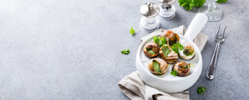 Dijon : la PME Bourgogne Escargots dévoile ses plans