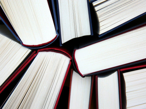 Somme : l’école d’Hornoy-le-Bourg se dote d’une micro-bibliothèque