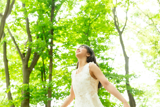 Le Festival des forêts de l’Oise est de retour, pour une expérience magique