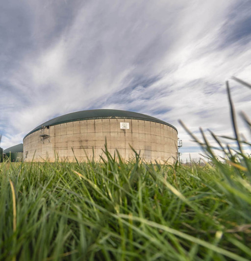 La Bioéconomie en mode fléchage dans la région