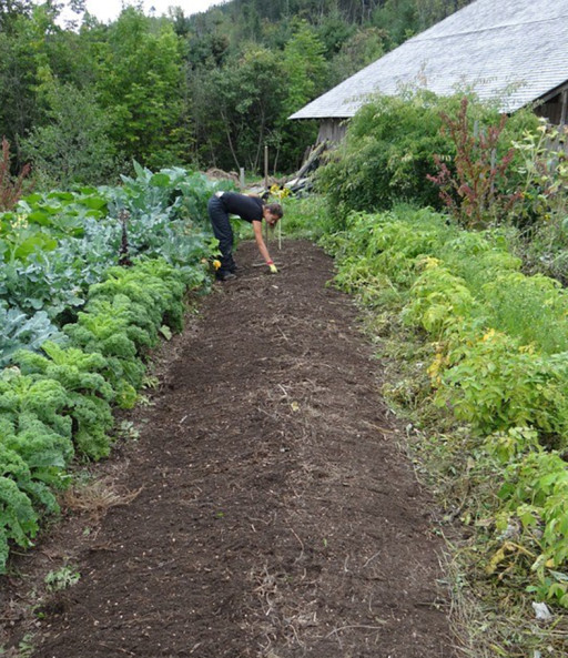 La 17e édition du Marché bio et aux plantes de retour à Bar-le-Duc