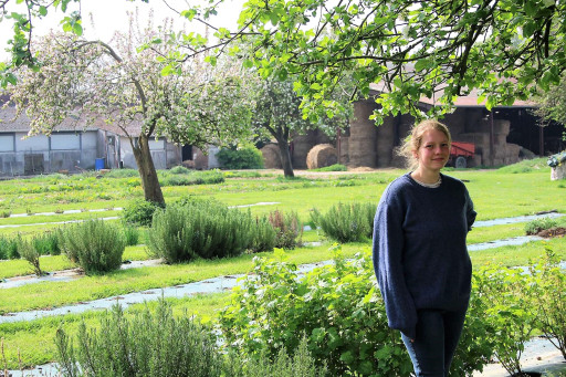 L'Hérberie, tisanes et plantes aromatiques bio à Candas