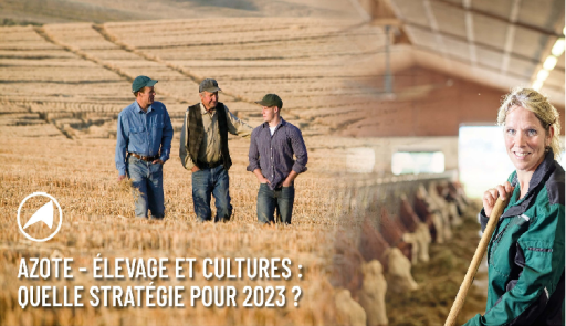 Azote, élevages et cultures : quelle stratégie pour 2023 ?
