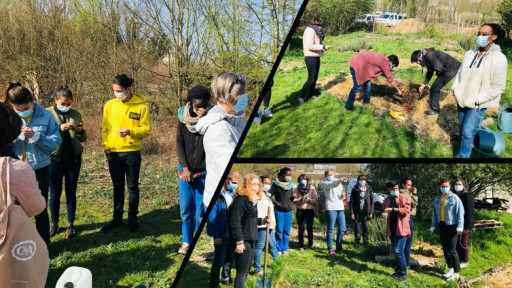 Agriculture urbaine : UniLaSalle se penche sur la question des sols