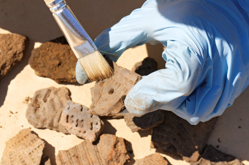 Mâcon accueille un village de l’archéologie