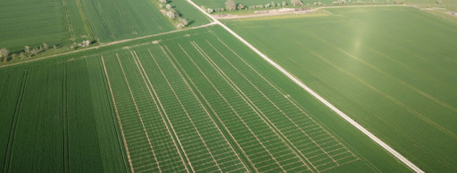 1 300 adhérents en visite sur la plateforme d'essais agronomiques Damier vert