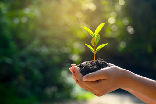 L’écologie, un point fort du Plan France Relance en Moselle