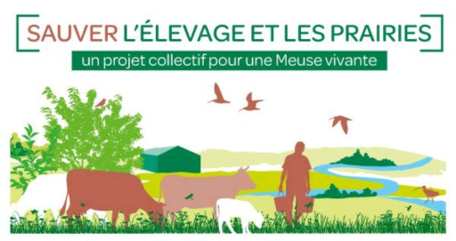 Agence de l'eau Rhin-Meuse : journée technique pour sauver l’élevage et les prairies