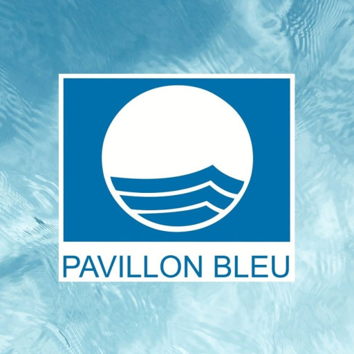 Le port de plaisance de Mâcon labellisé Pavillon bleu
