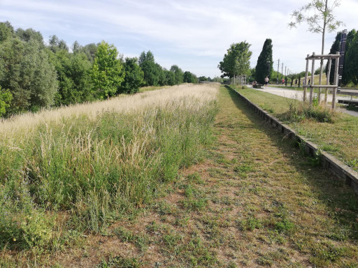L’AGURAM dévoile les résultats de son enquête sur les Messins et les jardins