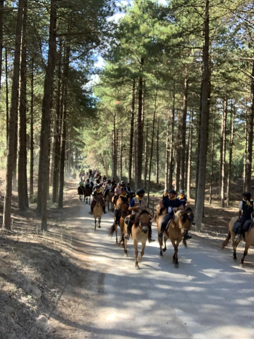 54e édition de l'Equirando à Rue