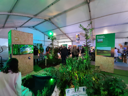 Retour réussi pour la Foire de Verdun