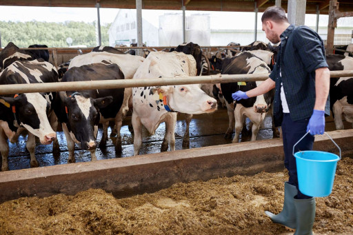 Hauts-de-France : des États régionaux de l’élevage pour aider la filière