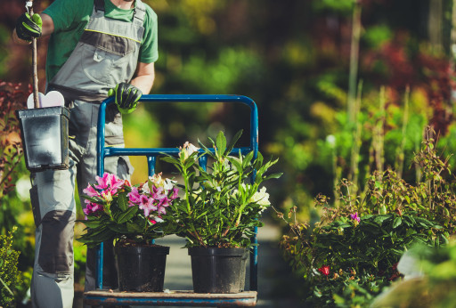 La Métropole Rouen Normandie accompagne de nouveaux projets de jardins et d’espaces nourriciers