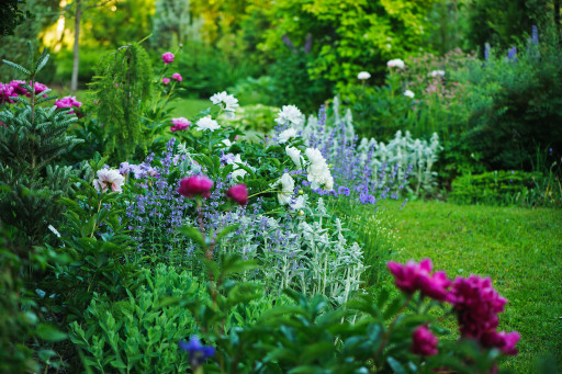 Retour sur la Fête des Jardins et des Saveurs
