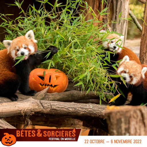 Le Festival Bêtes & Sorcières revient pour une cinquième édition