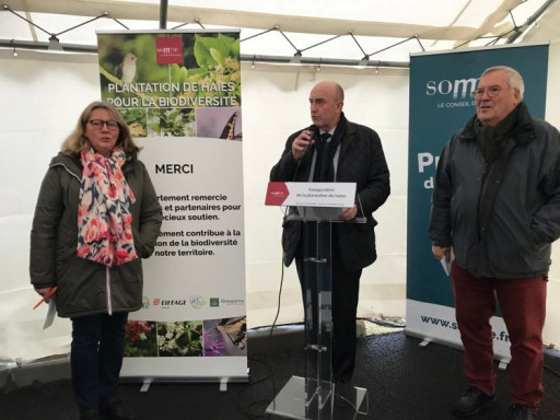 Somme : des plantations de haies champêtres pour préserver la biodiversité