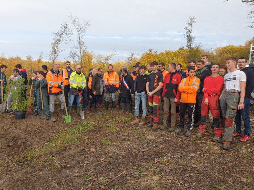 Ligny en barrois : Enedis participe au projet de restauration de la forêt