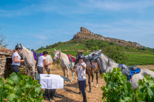 La Saône-et-Loire veut devenir une destination touristique incontournable