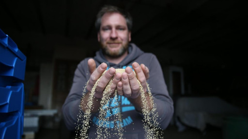 Les graines de Gus : du quinoa, des haricots et des lentilles made in Vermandois