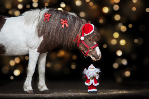 Huit fermes en Meuse participent à l’opération Noël à la ferme 2022