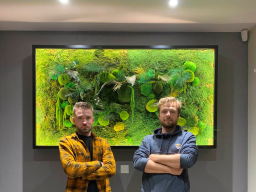 Vertuoz, quand les plantes se mêlent d’acoustique