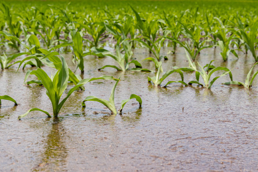 Une nouvelle assurance dédiée aux agriculteurs côte-d'oriens
