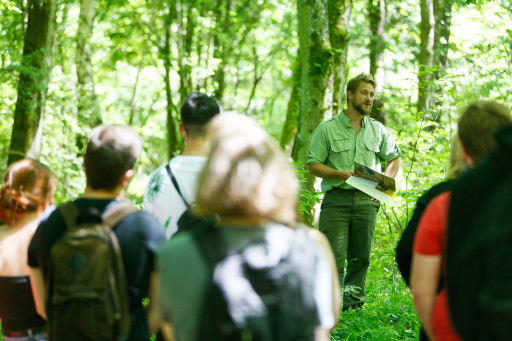 Filière bois : opération séduction au mois de mars