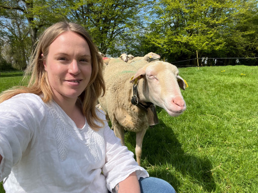 À Sierville, Céline Blondel élève des brebis depuis plus d'un an