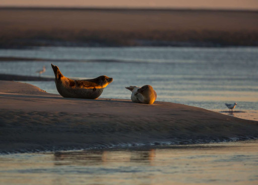 Hauts-de-France Tourisme participe à la campagne #ExploreFrance 2023