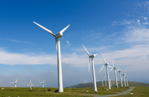 Stenay et Martincourt : une pétition lancée pour s’opposer au projet d'ajout de deux éoliennes