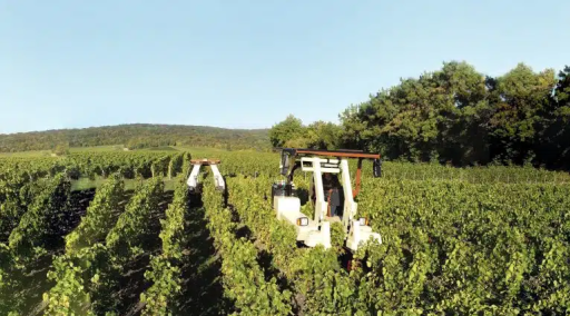 Sabi Agri teste son enjambeur électrique Alpo en Côte-d'Or