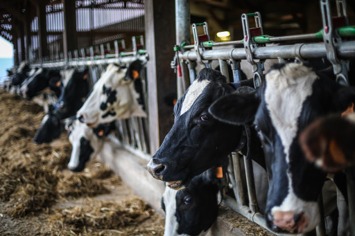 Le ministre de l'Agriculture en visite dans l'Oise