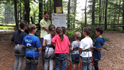 Cari Wood : sport détente et nature à Beauvais