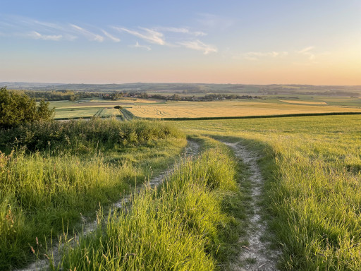 Les terres agricoles demeurent convoitées