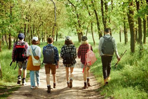 Le Festival des forêts de l’Oise est de retour, pour une expérience unique et engagée