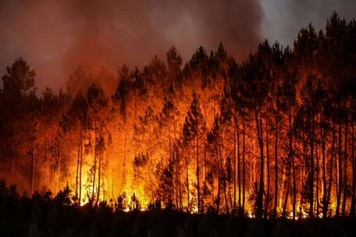 Feux de forêt: première alerte rouge de l'été dans les Bouches-du-Rhône mardi